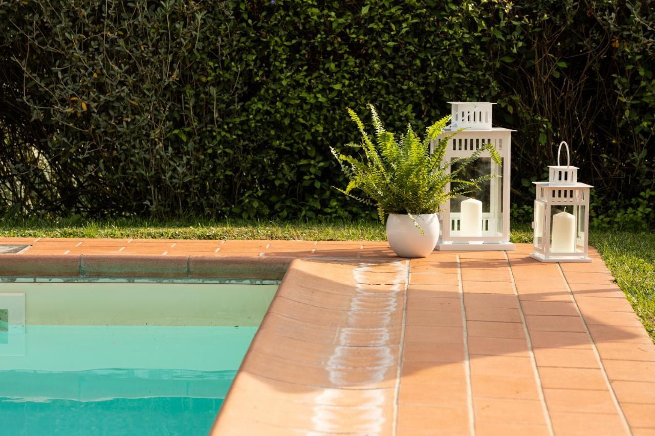 Casetta Di Butia, Gelsomino Apartment Borgo a Mozzano Εξωτερικό φωτογραφία