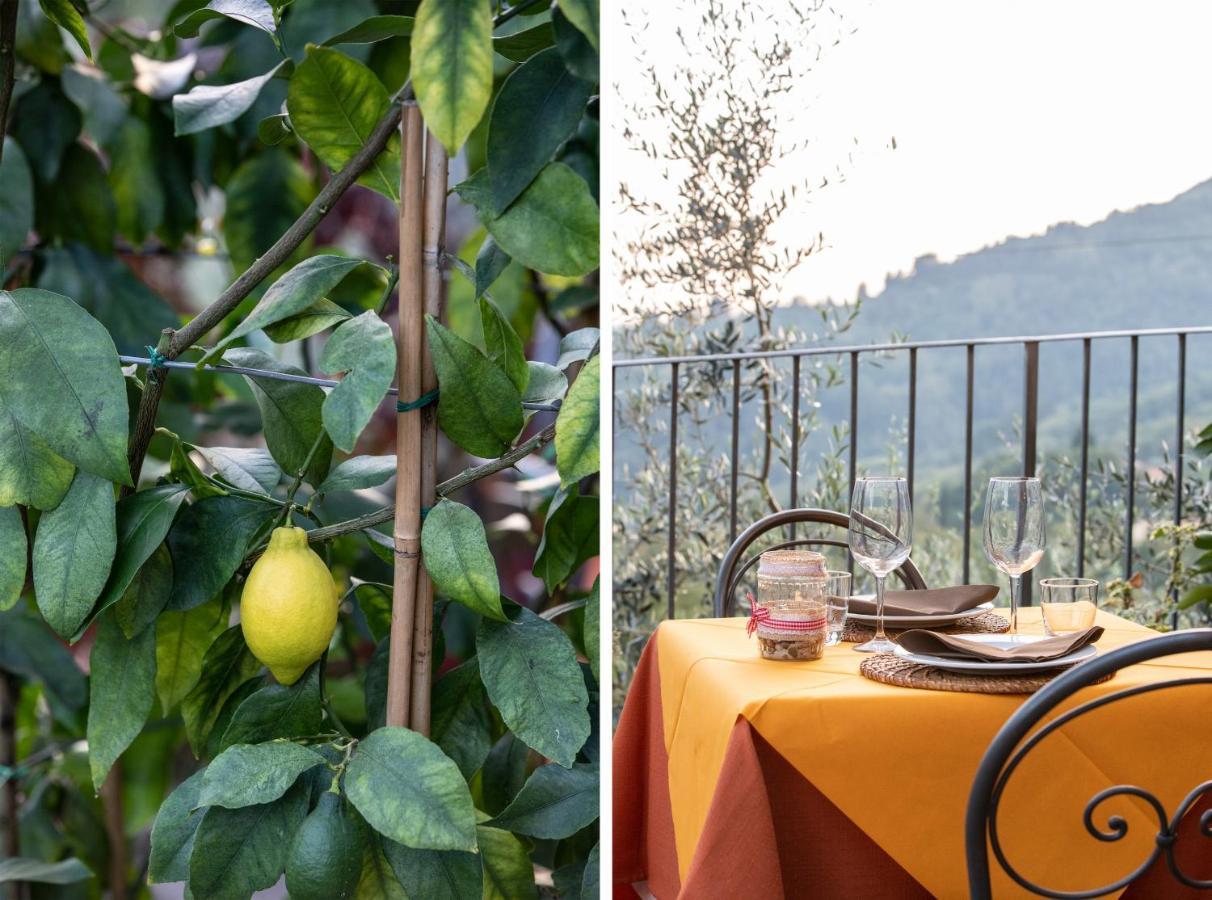 Casetta Di Butia, Gelsomino Apartment Borgo a Mozzano Εξωτερικό φωτογραφία