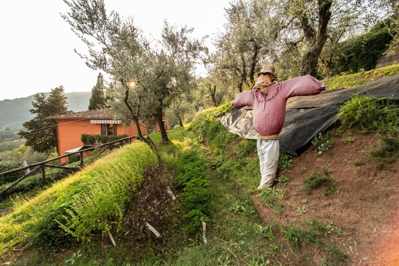 Casetta Di Butia, Gelsomino Apartment Borgo a Mozzano Εξωτερικό φωτογραφία