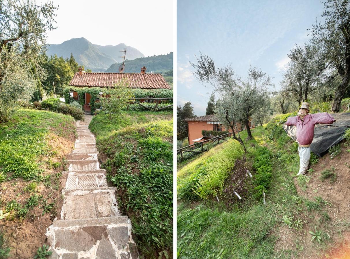Casetta Di Butia, Gelsomino Apartment Borgo a Mozzano Εξωτερικό φωτογραφία